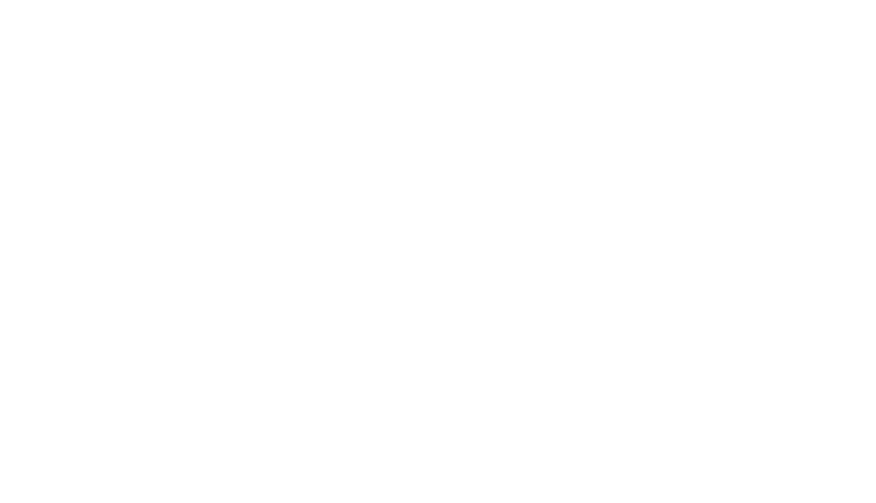 bidli 